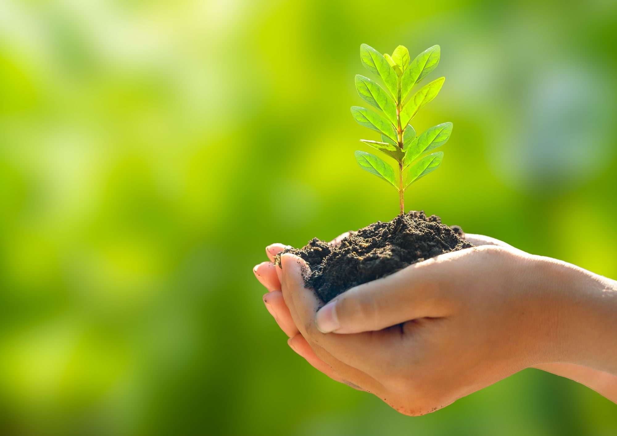 Black and White Simple Vintage Page Border Document